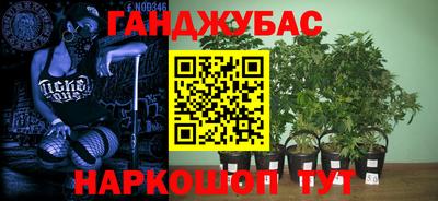 стаф Малгобек